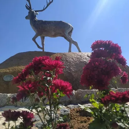 Rural An Ca La Abuela Pilar Σπίτι διακοπών *